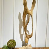 HELIOS ART DECOR - AVRS FURNITURE